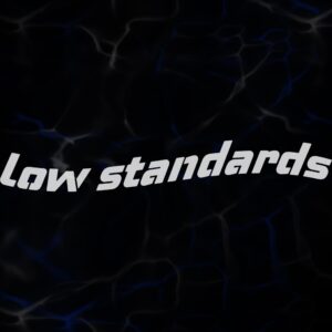 STICKER ”LOW STANDARDS”