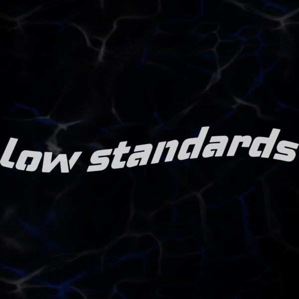 STICKER ”LOW STANDARDS”
